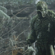 Swampy’s been replanted.